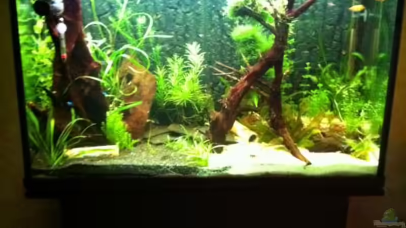 Stand 25.01.2011 von Daniel B (9)