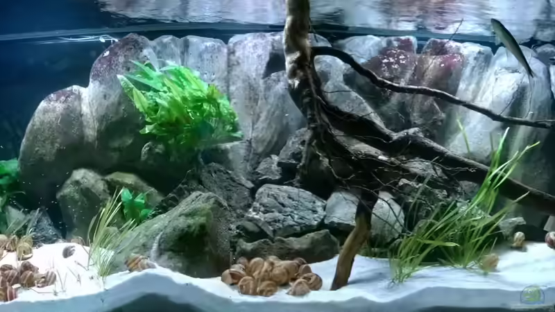 Stand 25.02.2014 von Trooper (4)