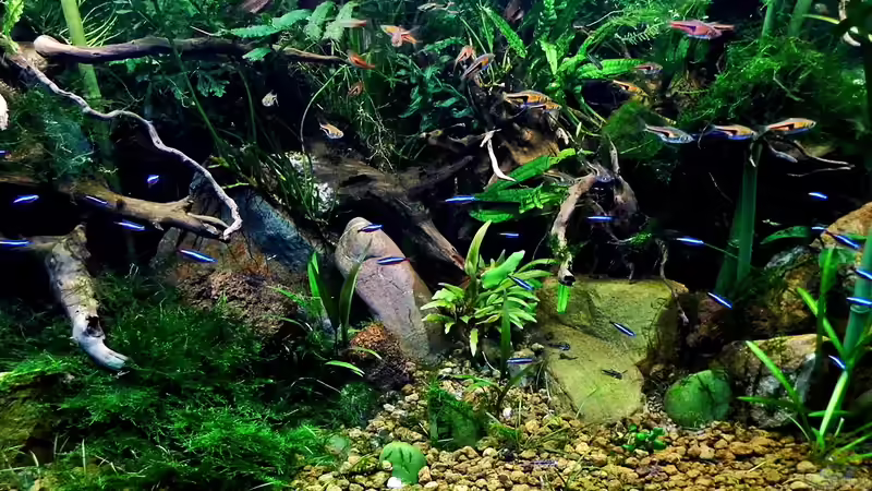 Stand 25.07.2014 von snooze (1)