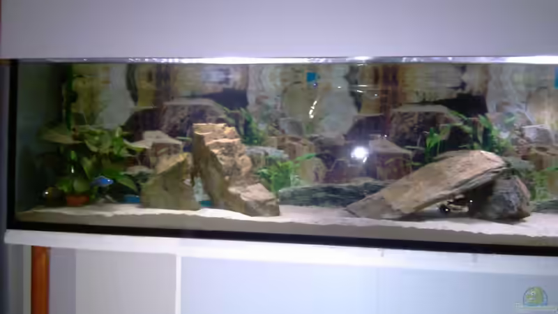 Stand 25.12.10 von cracky (17)