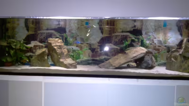 Stand 25.12.10 von cracky (18)