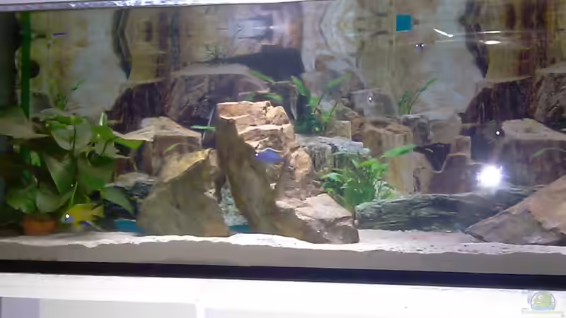 Stand 25.12.10 von cracky (20)