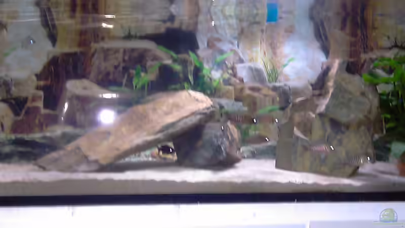 Stand 25.12.10 von cracky (21)