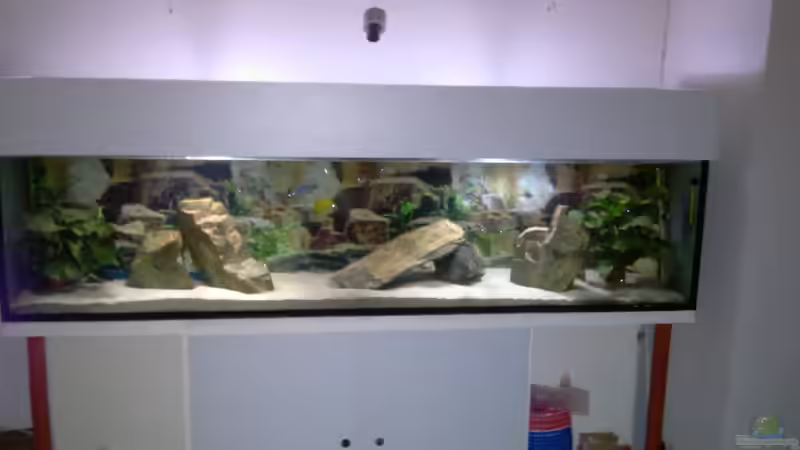 Stand 25.12.10 von cracky (3)