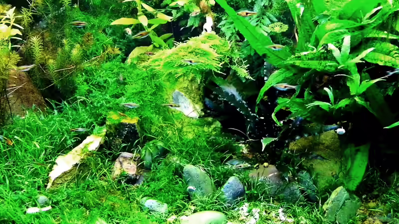 Stand 26.04.2013 von snooze (39)