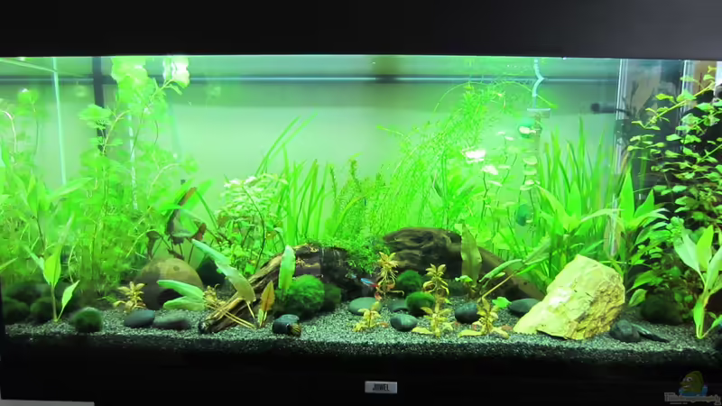 Stand 26.06.2013 von Mondüüü (6)