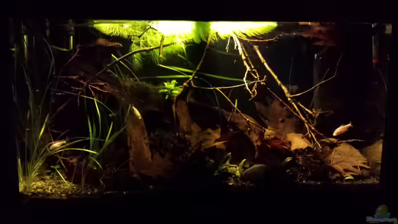 Stand 26.11. von NRW (3)