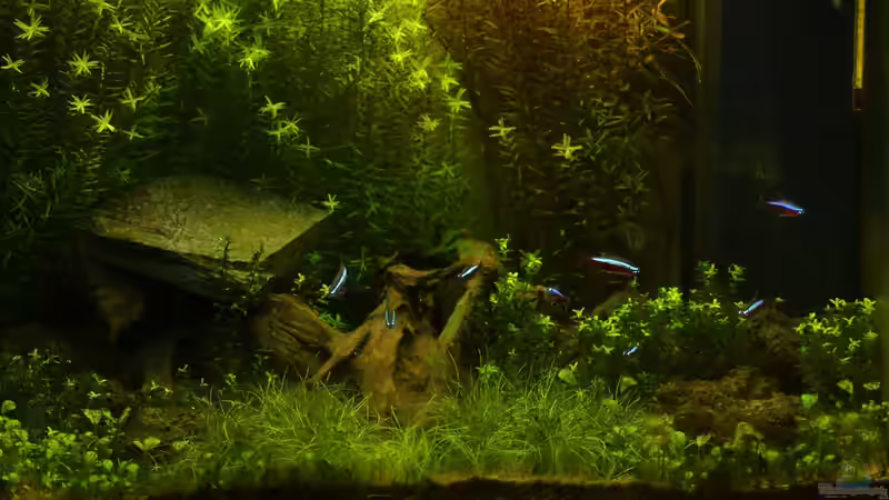 Stand 26.11.2015 von markdoe (5)