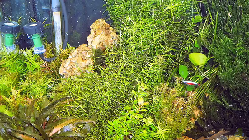 Stand 27. Dezember von odin 68 (135)