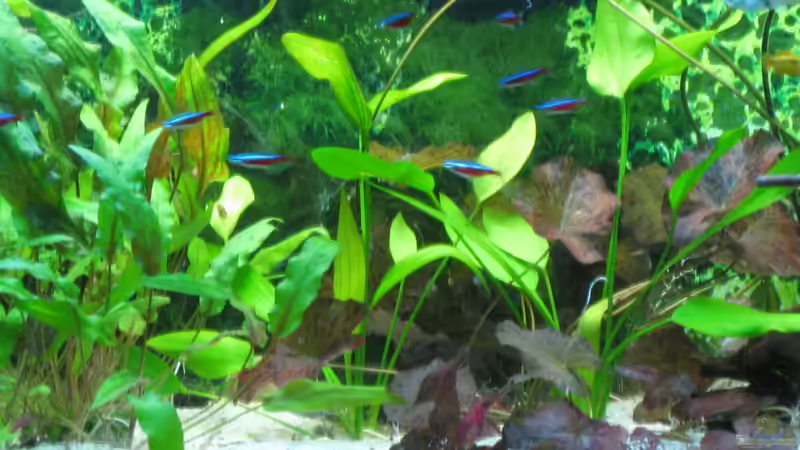 Stand 27.02.2012 von Robbi (4)