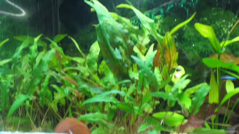 Stand 27.02.2012 von Robbi (6)