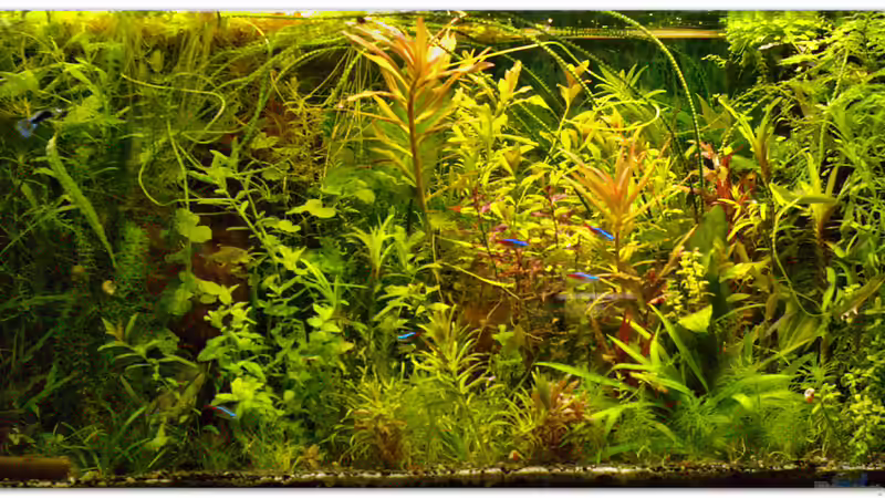 Stand 27.02.2015 von hotwheelz (10)