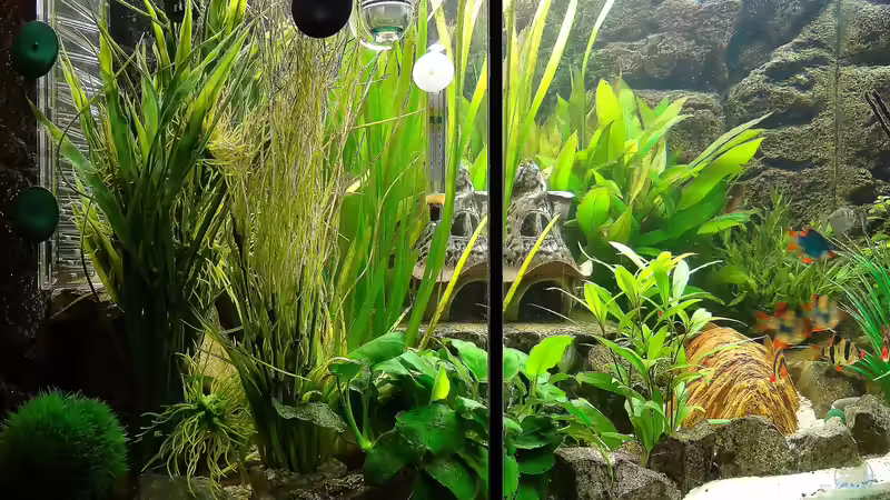 Stand 27 Januar 2014 von mcfly (47)