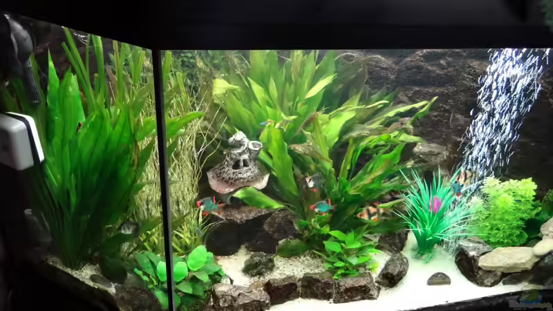 Stand 27 Oktober 2013 von mcfly (31)