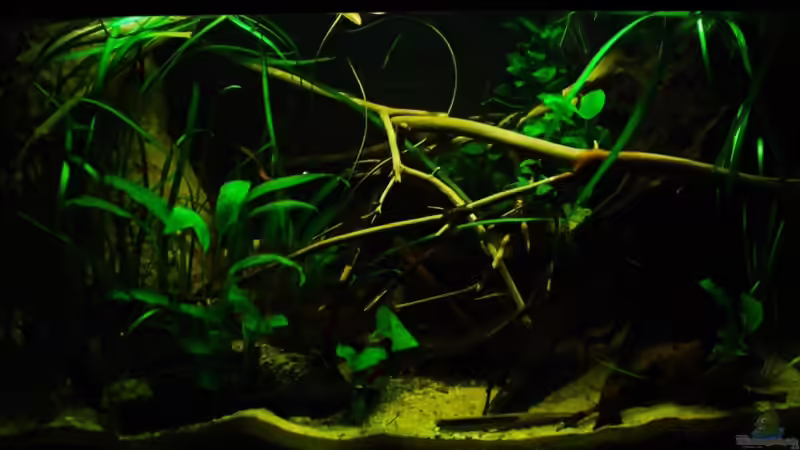 Stand 28.01.2011 von Benjamin Hamann (14)