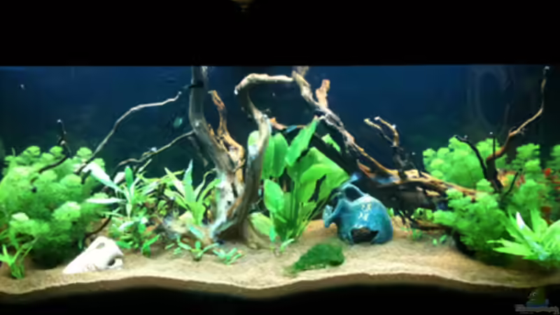 Stand 28-02-10 andere Seite von Flevus (4)