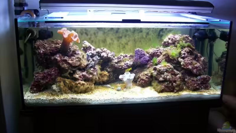 Stand 28.05.08 T5 Beleuchtung von Alper Alihsan (3)