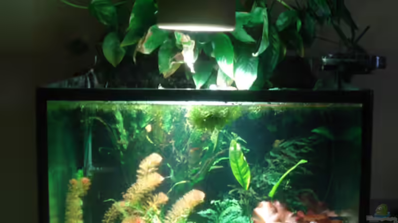 Stand 28.09.2010 von koba2 (6)