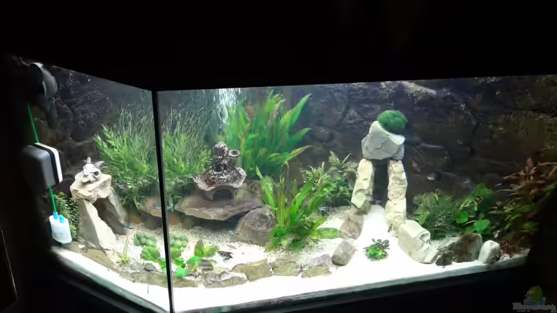 Stand 28 April 2013 von mcfly (29)