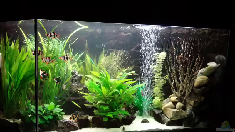 Stand 28 Dezember 2013 von mcfly (32)