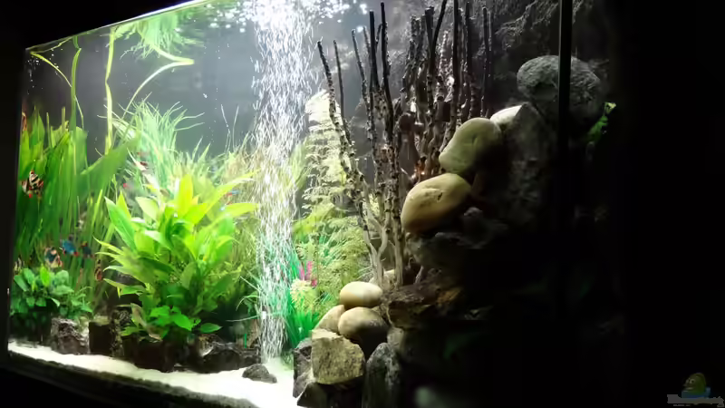 Stand 28 Dezember 2013 von mcfly (33)