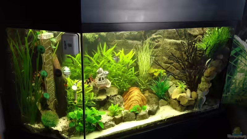 Stand 28 Februar 2014 von mcfly (38)