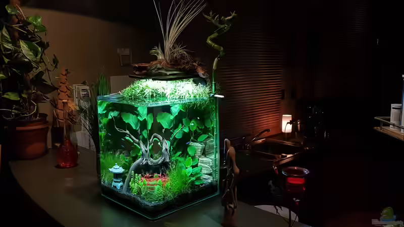 Stand 28 März 2019 von mcfly (7)