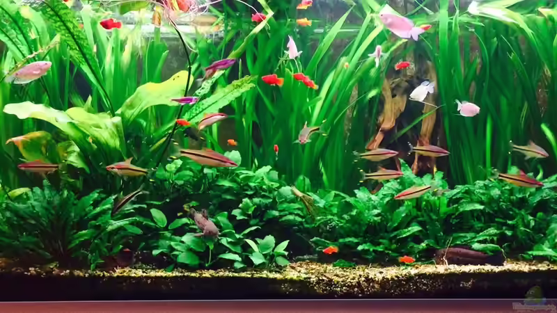 Stand 29.06.2014 von FAT (3)