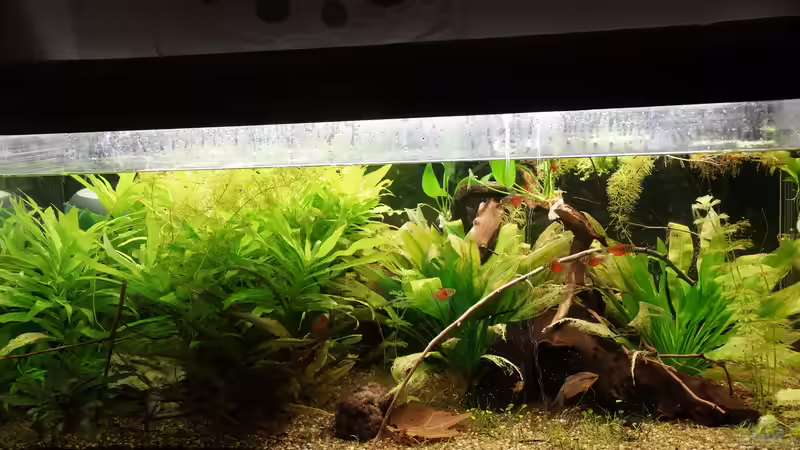 Stand 29.12. von . (19)