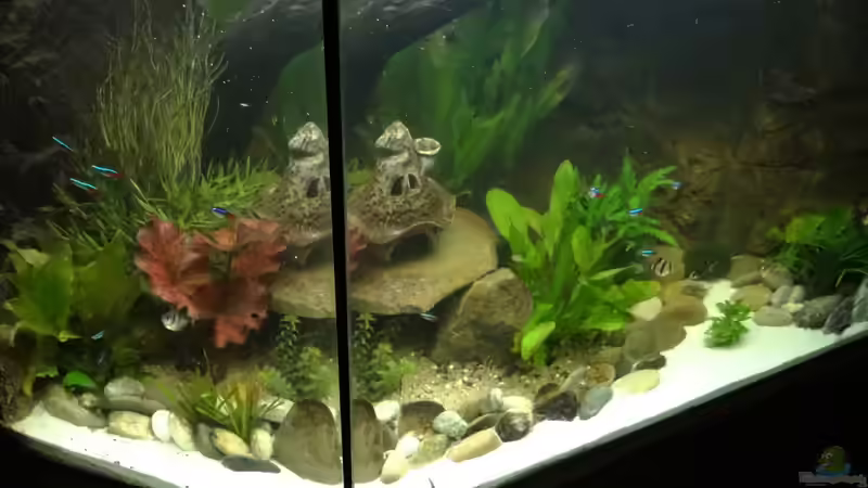 Stand 29 März 2013 von mcfly (24)