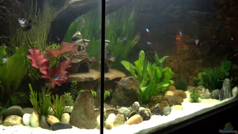 Stand 29 März 2013 von mcfly (25)