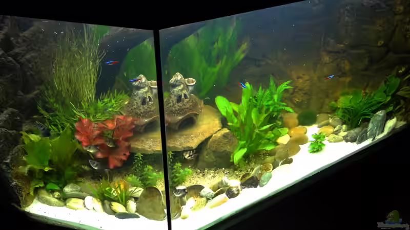 Stand 29 März 2013 von mcfly (26)