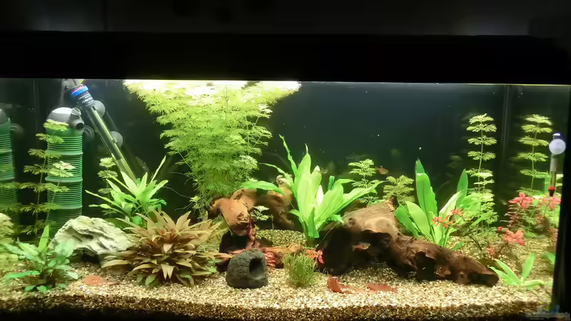 Stand 30.01. von . (5)