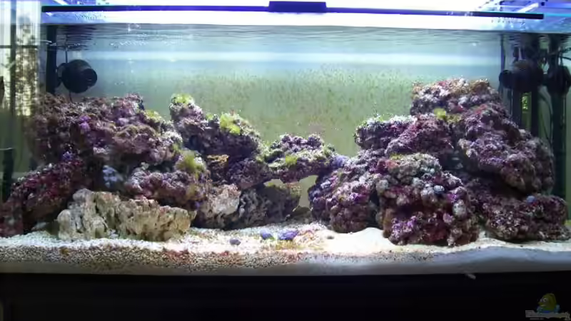 Stand 30.04.08 T5 Beleuchtung von Alper Alihsan (2)