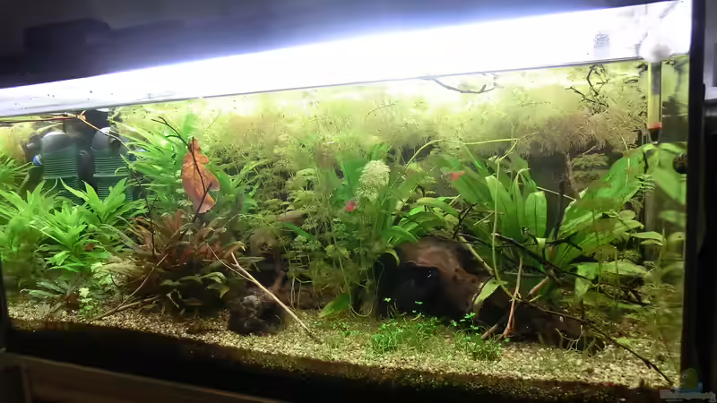 Stand 31.08. von . (16)