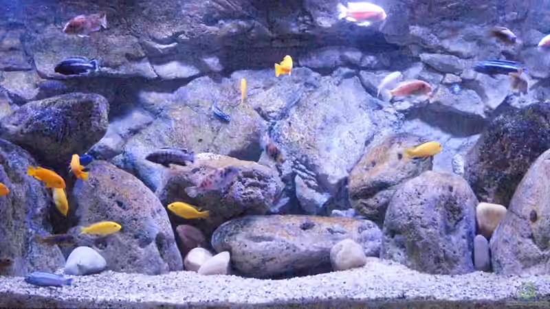 Stand 31.12.2013 von Tom (4)