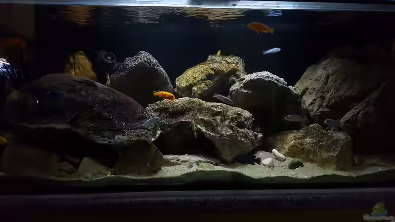 Stand 6. Jänner 2018 von Mel (9)