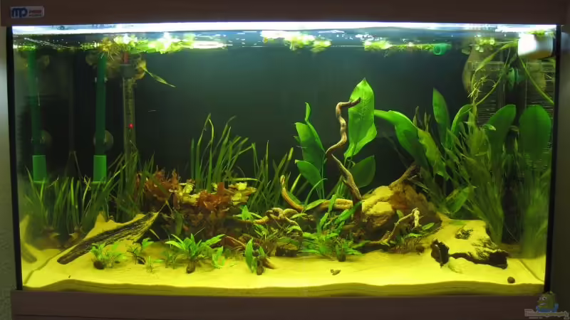 Stand 6. Januar 2007 von Marc Große-Allermann (1)