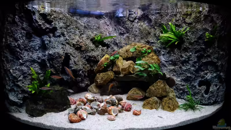 Stand Dez 2014 von Harald Götz (10)