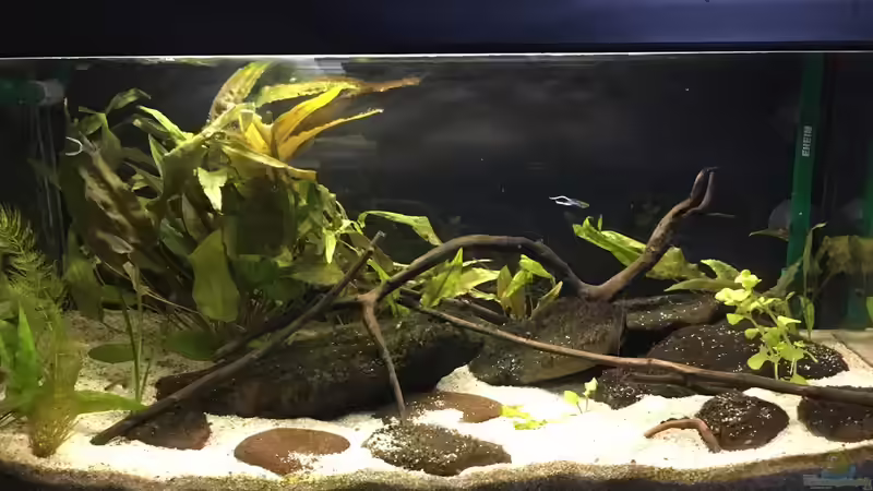 Stand Dezember 2016 von Ozi5467 (4)