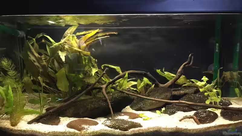 Stand Dezember 2016 von Ozi5467 (5)