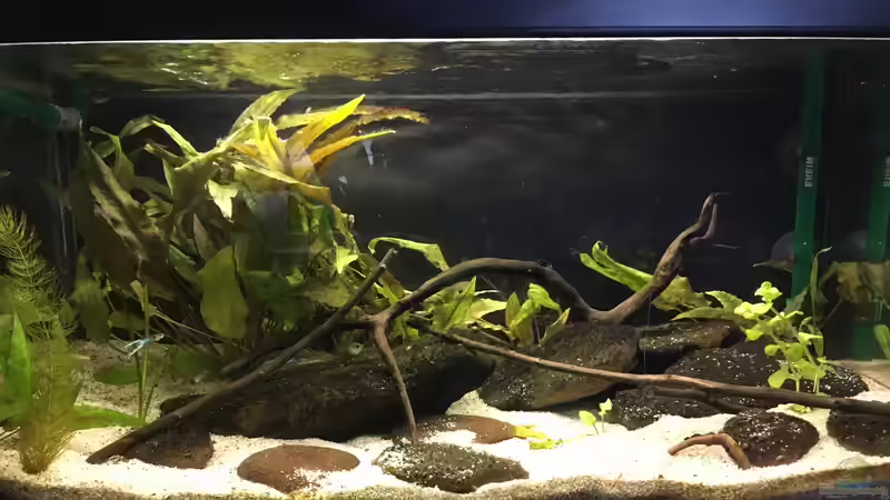 Stand Dezember 2016 von Ozi5467 (6)