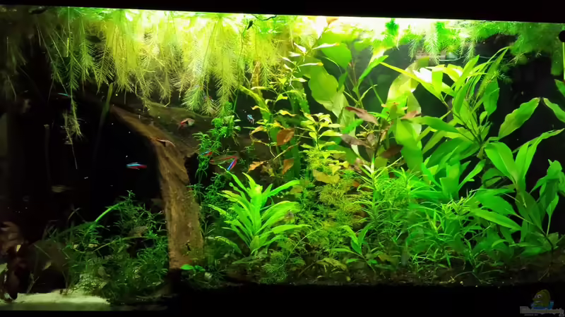 Stand Februar 15 von NRW (13)