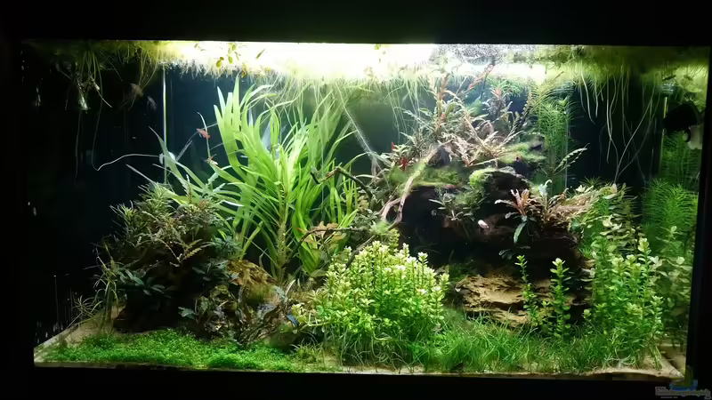 Stand heute (5.07.2020) von Wasserwelten (1)