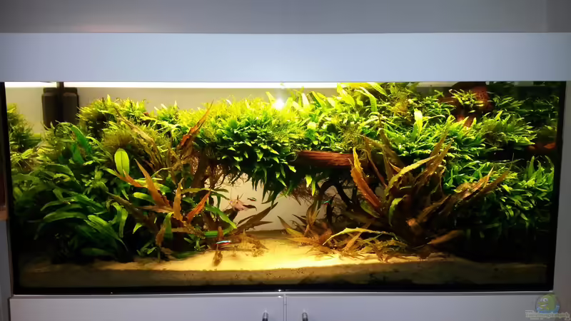 Stand Heute April 2014