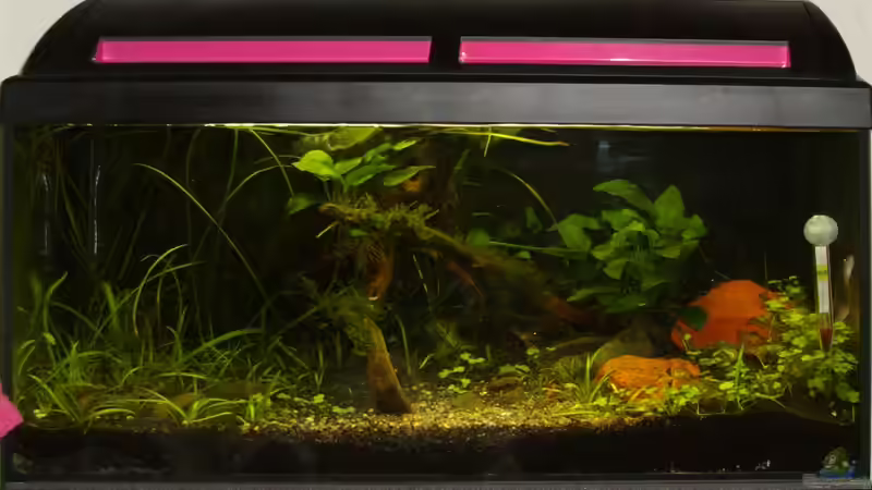 Stand Januar 2013 - Mit Blitz fotografiert von DasJin (3)