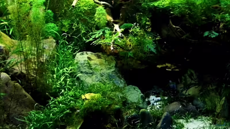 Stand Januar 2013 von snooze (29)