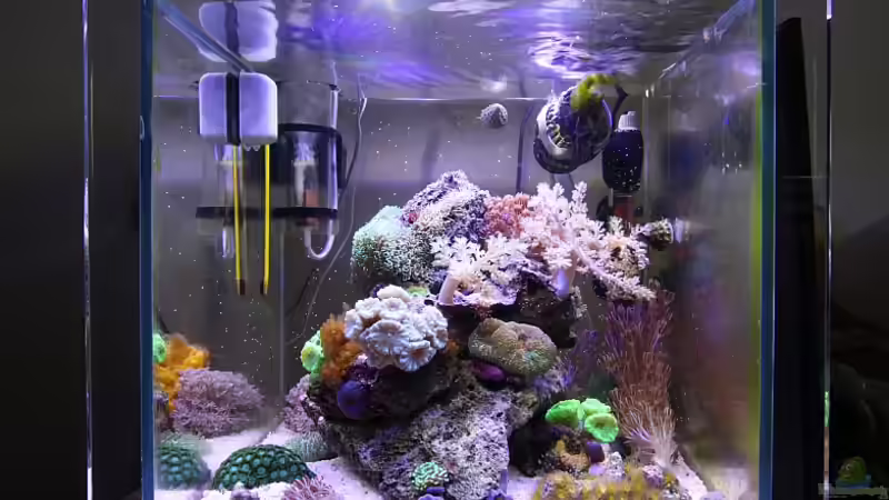 Stand Juni 2011 von starhopper (11)