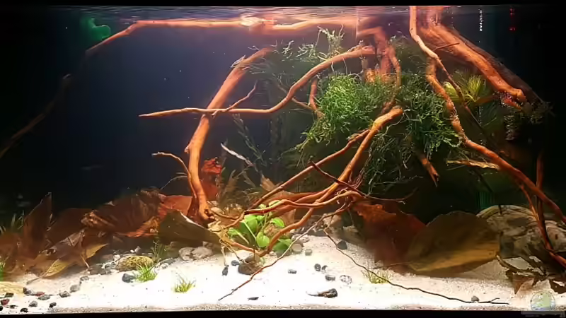 Stand Layout vom 05.02.2017 von YoshiMaus (9)