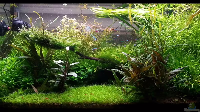 Stand März 2013 von Konzi (1)